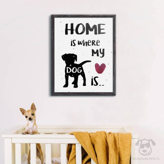 Plakat "Home is where my dog is" idealny dla kochających właścicieli psów. Na prezent dla miłośnika zwierząt czy jako gadżet dla wielbiciela psów. Wersja angielska plakatu "Dom jest tam gdzie pies nasz"