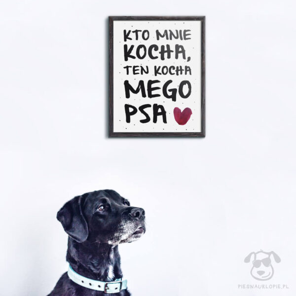 Plakat "Kto mnie kocha, ten kocha mego psa" idealny dla kochających właścicieli psów. Na prezent dla miłośnika zwierząt czy jako gadżet dla wielbiciela psów.