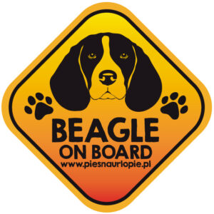 Naklejka na samochód z psem rasowym (beagle) idealna dla właściciela, który lubi podróżować z psem i dba o jego bezpieczeństwo. Na prezent dla miłośnika zwierząt czy jako gadżet dla wielbiciela psów.