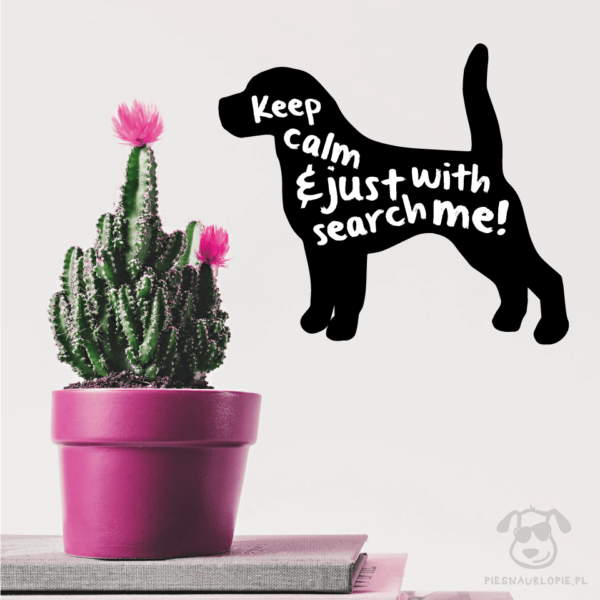 Naklejka na ścianę "Keep calm and just search with me" idealna dla właścicieli psów rasy beagle. Na prezent dla miłośnika zwierząt czy jako gadżet dla wielbiciela psów.