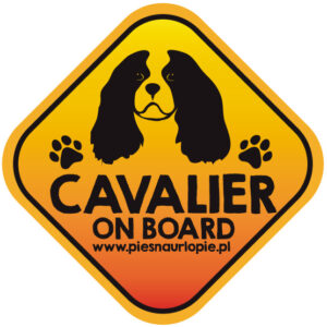 Naklejka na samochód z psem rasowym (cavalier king spaniel) idealna dla właściciela, który lubi podróżować z psem i dba o jego bezpieczeństwo. Na prezent dla miłośnika zwierząt czy jako gadżet dla wielbiciela psów.