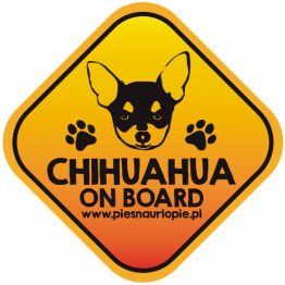 Naklejka na samochód z psem rasowym (chihuahua) idealna dla właściciela, który lubi podróżować z psem i dba o jego bezpieczeństwo. Na prezent dla miłośnika zwierząt czy jako gadżet dla wielbiciela psów.