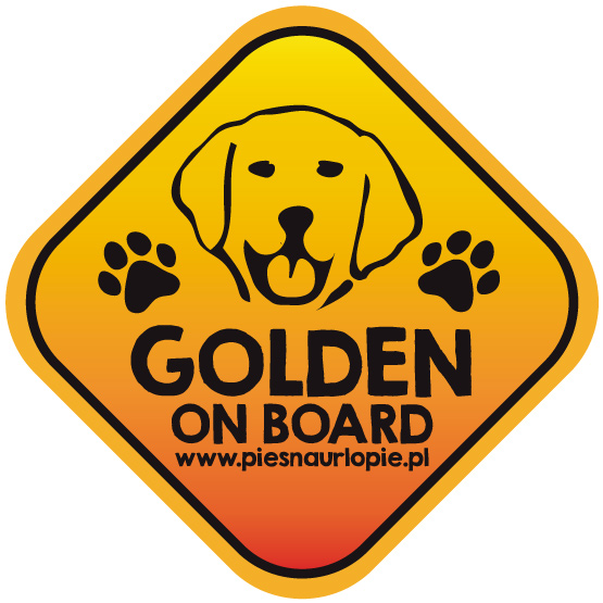 Naklejka na samochód z psem rasowym (golden retriever) idealna dla właściciela, który lubi podróżować z psem i dba o jego bezpieczeństwo. Na prezent dla miłośnika zwierząt czy jako gadżet dla wielbiciela psów.
