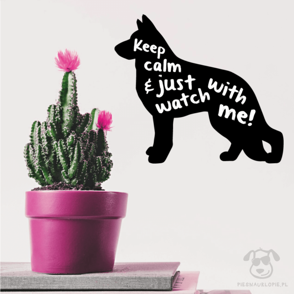 Naklejka na ścianę "Keep calm and just watch with me" idealna dla właścicieli psów rasy owczarek niemiecki. Na prezent dla miłośnika zwierząt czy jako gadżet dla wielbiciela psów.
