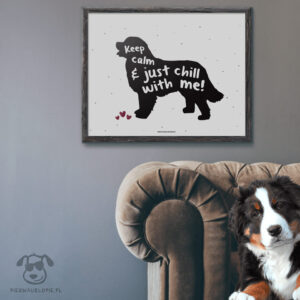 Plakat "Keep calm and just chill with me" idealny dla właścicieli psów rasy berneński pies pasterski lub nowofundland. Na prezent dla miłośnika zwierząt czy jako gadżet dla wielbiciela psów.