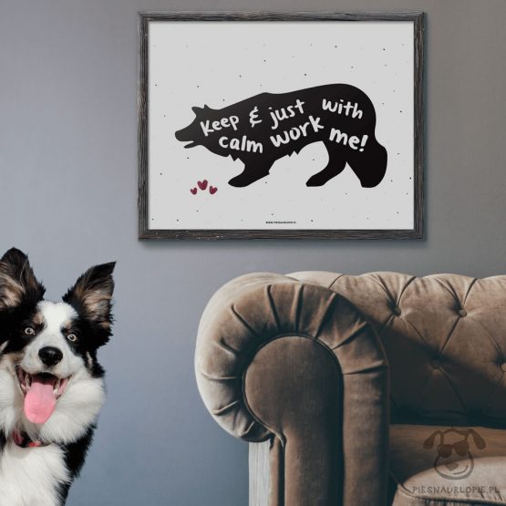 Plakat "Keep calm and just work with me" idealny dla właścicieli psów rasy border collie lub owczarek australijski. Na prezent dla miłośnika zwierząt czy jako gadżet dla wielbiciela psów.