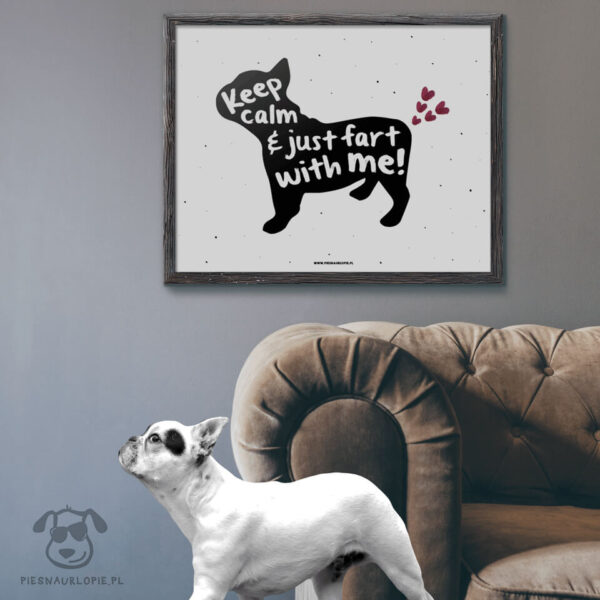 Plakat "Keep calm and just fart with me" idealny dla właścicieli psów rasy buldożek francuski. Na prezent dla miłośnika zwierząt czy jako gadżet dla wielbiciela psów.