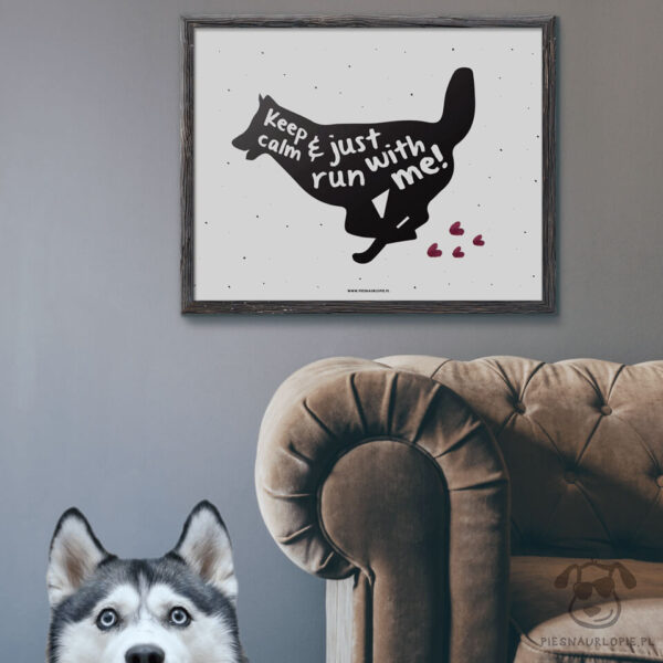 Plakat "Keep calm and just run with me" idealny dla właścicieli psów rasy husky. Na prezent dla miłośnika zwierząt czy jako gadżet dla wielbiciela psów.
