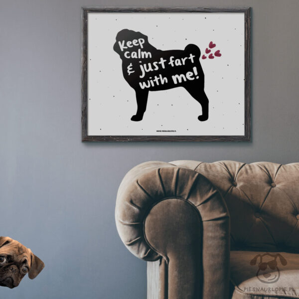 Plakat "Keep calm and just fart with me" idealny dla właścicieli psów rasy mops. Na prezent dla miłośnika zwierząt czy jako gadżet dla wielbiciela psów.