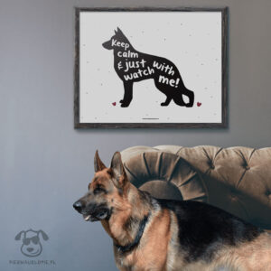 Plakat "Keep calm and just watch with me" idealny dla właścicieli psów rasy owczarek niemiecki. Na prezent dla miłośnika zwierząt czy jako gadżet dla wielbiciela psów.