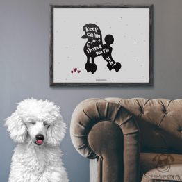 Plakat "Keep calm and just shine with me" idealny dla właścicieli psów rasy pudel. Na prezent dla miłośnika zwierząt czy jako gadżet dla wielbiciela psów.