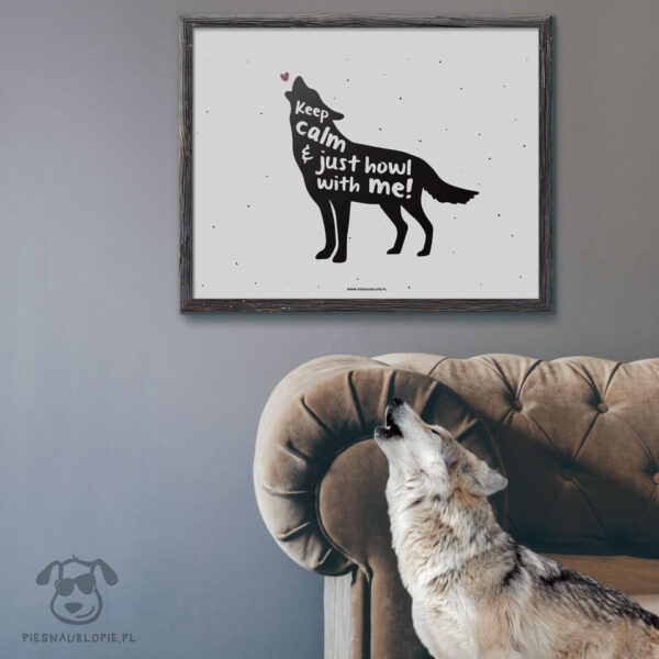 Plakat "Keep calm and just howl with me" idealny na prezent dla miłośników zwierząt, zwłaszcza wilków.