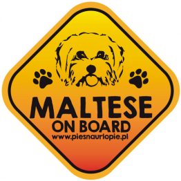 Naklejka na samochód z psem rasowym (maltańczyk) idealna dla właściciela, który lubi podróżować z psem i dba o jego bezpieczeństwo. Na prezent dla miłośnika zwierząt czy jako gadżet dla wielbiciela psów.