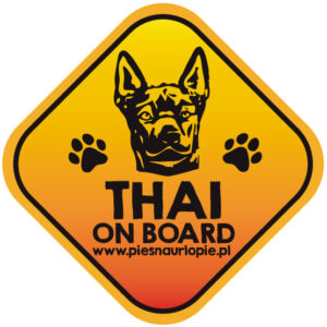 Naklejka na samochód z psem rasowym (thai ridgeback) idealna dla właściciela, który lubi podróżować z psem i dba o jego bezpieczeństwo. Na prezent dla miłośnika zwierząt czy jako gadżet dla wielbiciela psów.