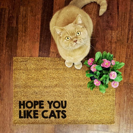 Wycieraczka kokosowa "Hope You like cats" idealna dla właściciela kota. Na prezent dla miłośnika zwierząt czy jako gadżet dla wielbiciela kotów.