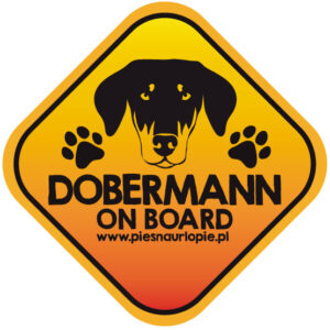 Naklejka na samochód z psem rasowym (doberman) idealna dla właściciela, który lubi podróżować z psem i dba o jego bezpieczeństwo. Na prezent dla miłośnika zwierząt czy jako gadżet dla wielbiciela psów.