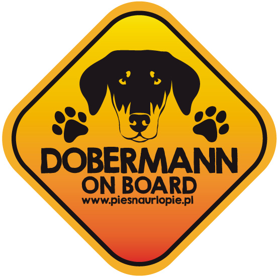 Naklejka na samochód z psem rasowym (doberman) idealna dla właściciela, który lubi podróżować z psem i dba o jego bezpieczeństwo. Na prezent dla miłośnika zwierząt czy jako gadżet dla wielbiciela psów.