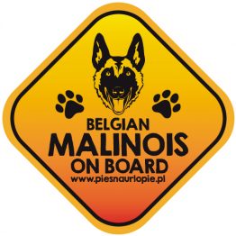 Naklejka na samochód z psem rasowym (owczarek belgijski malinois) idealna dla właściciela, który lubi podróżować z psem i dba o jego bezpieczeństwo. Na prezent dla miłośnika zwierząt czy jako gadżet dla wielbiciela psów.