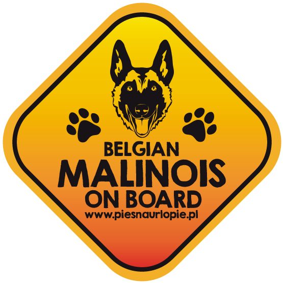 Naklejka na samochód z psem rasowym (owczarek belgijski malinois) idealna dla właściciela, który lubi podróżować z psem i dba o jego bezpieczeństwo. Na prezent dla miłośnika zwierząt czy jako gadżet dla wielbiciela psów.
