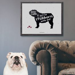 Plakat "Keep calm and just be stubborn with me" idealny dla właścicieli psów rasy buldog angielski. Na prezent dla miłośnika zwierząt czy jako gadżet dla wielbiciela psów.