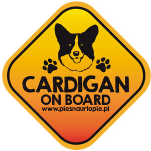 Naklejka na samochód z psem rasowym (welsh corgi cardigan) idealna dla właściciela, który lubi podróżować z psem i dba o jego bezpieczeństwo. Na prezent dla miłośnika zwierząt czy jako gadżet dla wielbiciela psów.